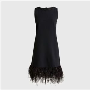 J crew feather trim dress